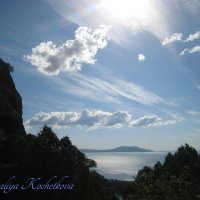 Природа Крыма :: Amazing Cosmea