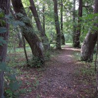 В парке :: Александр Ильчевский 