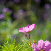 ___ :: Yuriy V ___ :: Yuriy V