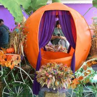 Фотозона с каретой Золушки. :: Татьяна Помогалова