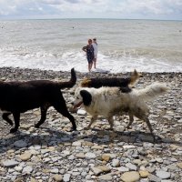 Купаться любят все :: Наталия Григорьева