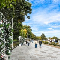 Набережная реки Москвы :: Oleg S 