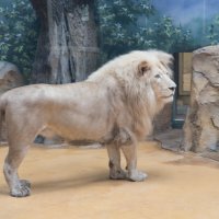 Казань. Зооботсад :: Андрей 