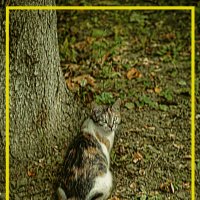 Ну, чего тебе ... :: Владимир Кроливец Ну, чего тебе ... :: Владимир Кроливец