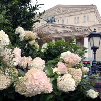 Театр 19 сентября :: Михаил Бибичков Театр 19 сентября :: Михаил Бибичков