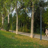 ***** :: юрий поляков