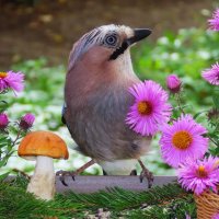 .... :: Ольга Митрофанова