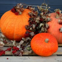 Осень :: Vlad Сергиевич