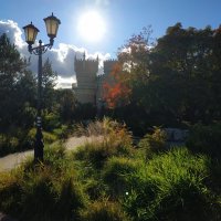 И всего +10 :: Андрей Лукьянов