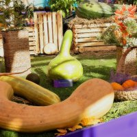 Кабачки разных форм и размеров. :: Татьяна Помогалова