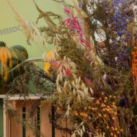 Кабачок в форме котика. :: Татьяна Помогалова