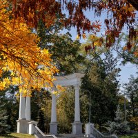 Осень - красивое время :: Светлана Ищенко