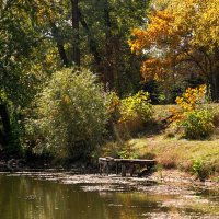 Красота осенней природы :: Светлана Ищенко Красота осенней природы :: Светлана Ищенко