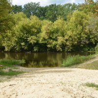 Сельский пляж :: Леонид Иванчук