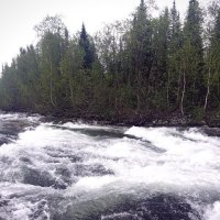 Алтайская река :: Георгиевич Алтайская река :: Георгиевич