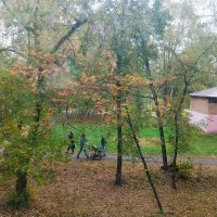 Осень :: Елена Семигина