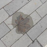 март :: Елена Шаламова