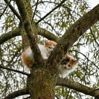 * :: Вадим * :: Вадим