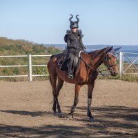 * :: Александр Лисовский * :: Александр Лисовский