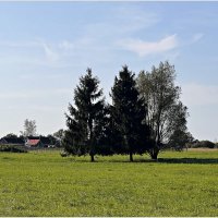 Две подружки. :: Валерия Комова