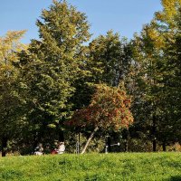 Неожиданный подарок от  Гидрометеоцентра  + 27 ! ! !  ) :: Анатолий Колосов