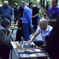 Партия. :: Наталья Вязигина