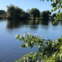 Отдых на природе :: Ольга