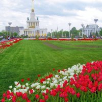 ...тюльпаны на ВДНХ... :: galalog galalog ...тюльпаны на ВДНХ... :: galalog galalog