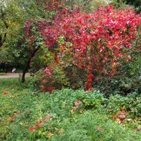 *** :: Владимир Безбородов *** :: Владимир Безбородов