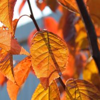 ... :: Наталья