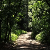 В парке :: Владимир59 