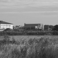 Жизнь у воды :: Игорь Солдаткин