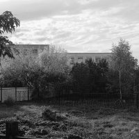 Дом за деревьями. :: Игорь Солдаткин