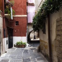 ** :: Александр Липовецкий