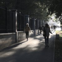 Выйти из тени. :: Сергей Сергеев