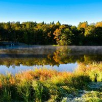 Краски осени. :: Милешкин Владимир Алексеевич 