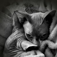 Не грусти , включат нам паровое ..... :: Андрей Зайцев