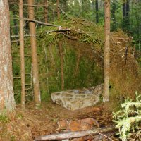 ** :: Сергей Кочнев