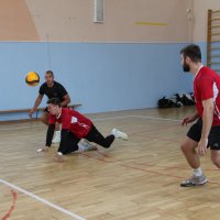 *** :: victor Lion *** :: victor Lion