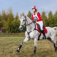 Кросс :: SanSan 