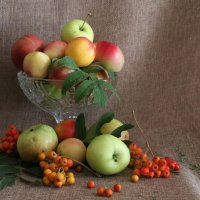 Дары осени :: Любовь Сахарова