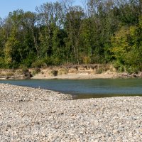 Прогулка у реки :: Игорь Сикорский