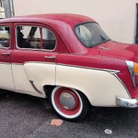 Раритет. :: Ольга 