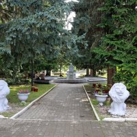 Аллеи Белокурихи :: Ольга Аллеи Белокурихи :: Ольга