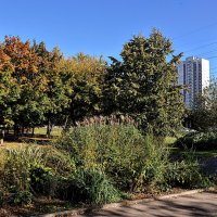 А вот и дом - следит за мной,,,) :: Анатолий Колосов