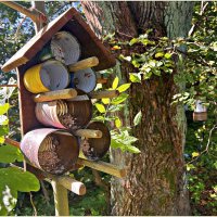 ******* :: Валерия Комова ******* :: Валерия Комова