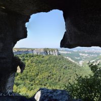 Природа Крыма :: Amazing Cosmea Природа Крыма :: Amazing Cosmea