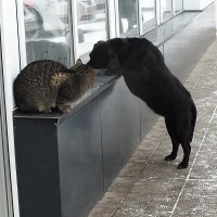 ** :: Зоя Мишина