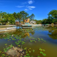 Есть в графском парке старый пруд :: Vladimir Есть в графском парке старый пруд :: Vladimir