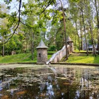 Дворики Соснового Бора. :: Лия ☼